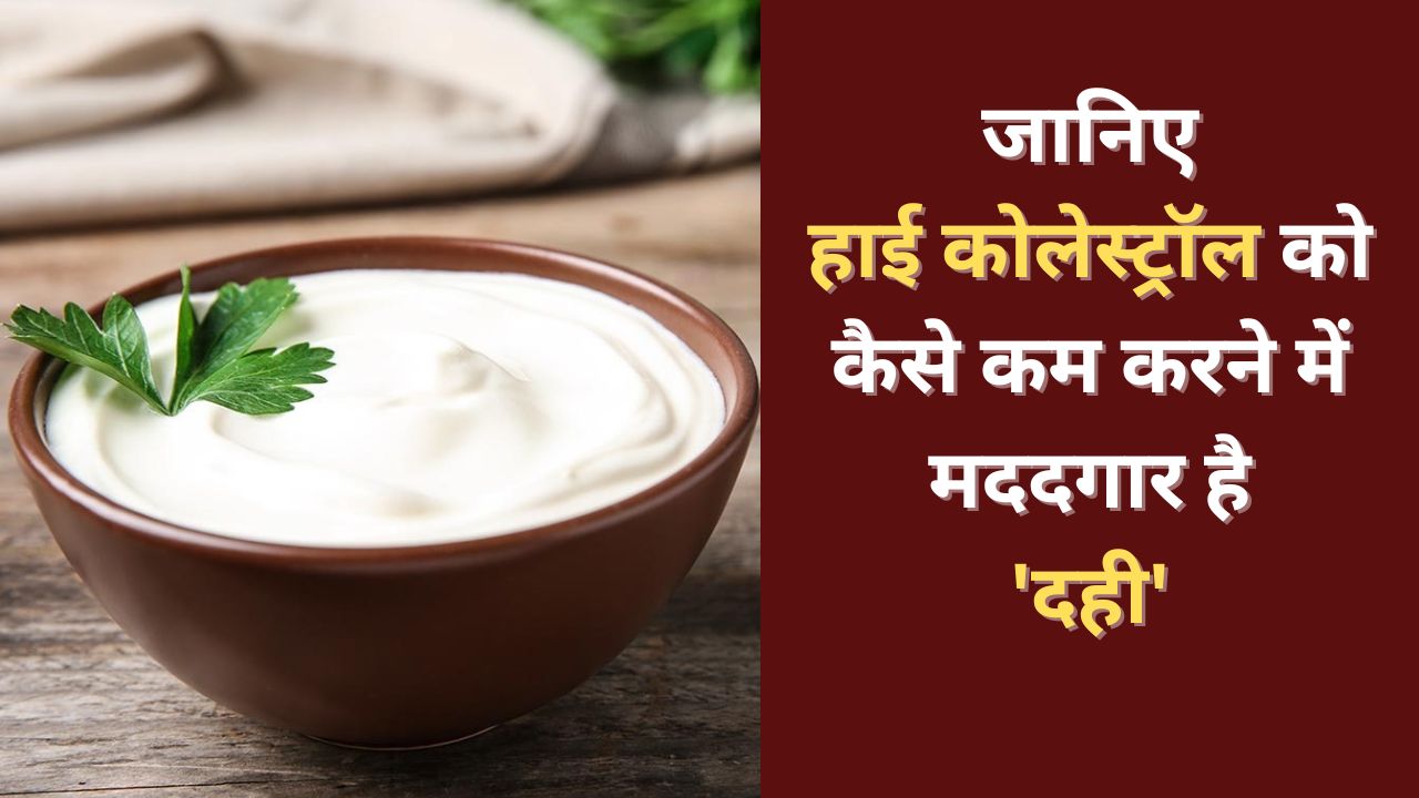 Benefits of Curd : जानिए हाई कोलेस्ट्रॉल को कैसे कम करने में मददगार है 'दही'