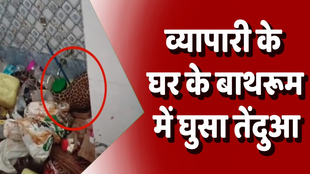 CG News : व्यापारी के घर के बाथरूम में घुसा तेंदुआ, दो घंटे बाद निकाला गया सुरक्षित