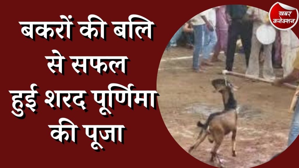 CG News : चौकाने वाला रहस्य आया सामने,मानकेश्वरी देवी मंदिर में चढ़ती है बकरे की बलि