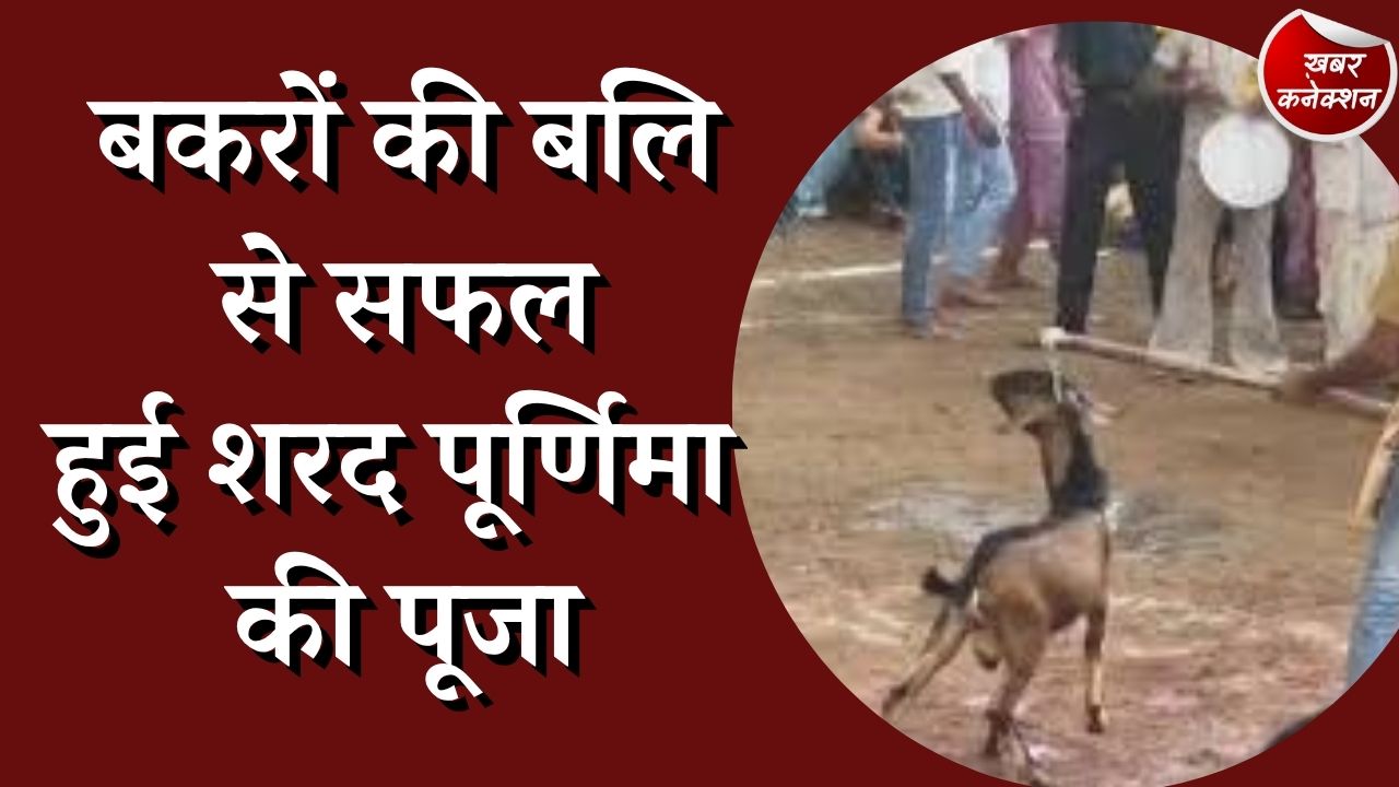 CG News : चौकाने वाला रहस्य आया सामने,मानकेश्वरी देवी मंदिर में चढ़ती है बकरे की बलि