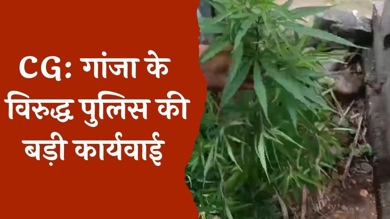 CG News : गांजा तस्करी करते हुए पकड़े गए आरोपी, अपर बर्थ में छुपाया था गांजा