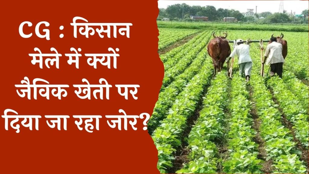 CG News : जैविक खेती को दिया जा रहा बढ़ावा, रासायनिक उर्वरकों के दुष्प्रभाव डाला जा रहा प्रकाश