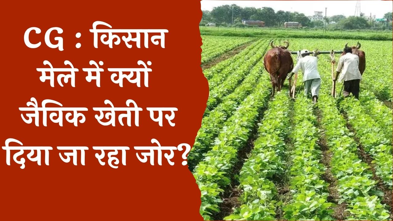 CG News : जैविक खेती को दिया जा रहा बढ़ावा, रासायनिक उर्वरकों के दुष्प्रभाव डाला जा रहा प्रकाश