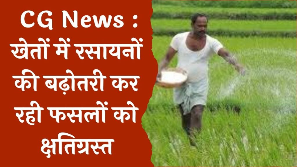 CG News : किसान कर रहे भारी मात्रा में रसायनों का प्रयोग, खेत की सतह हो रही ख़राब