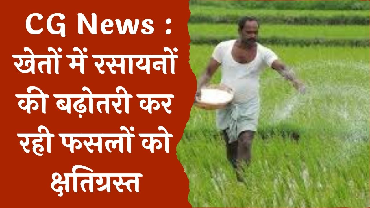 CG News : किसान कर रहे भारी मात्रा में रसायनों का प्रयोग, खेत की सतह हो रही ख़राब 