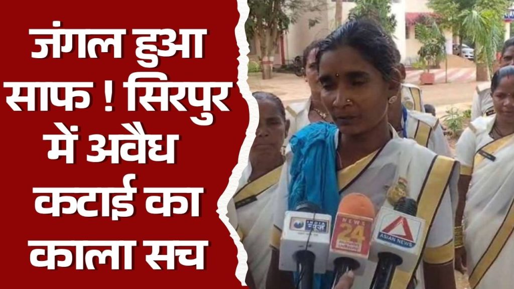 CG News : सिरपुर जंगल में 159 पेड़ों की अवैध कटाई