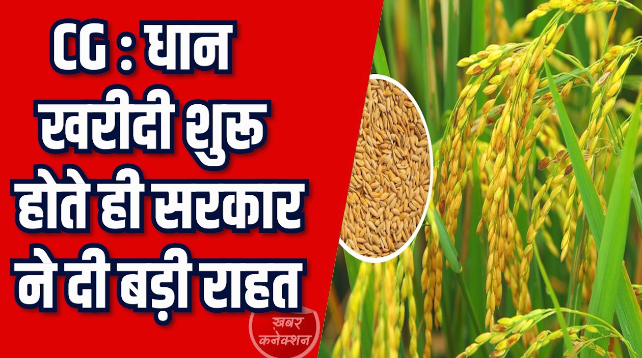 CG News: धान खरीदी आसान हुई सरकार ने बनाई मजबूत व्यवस्था