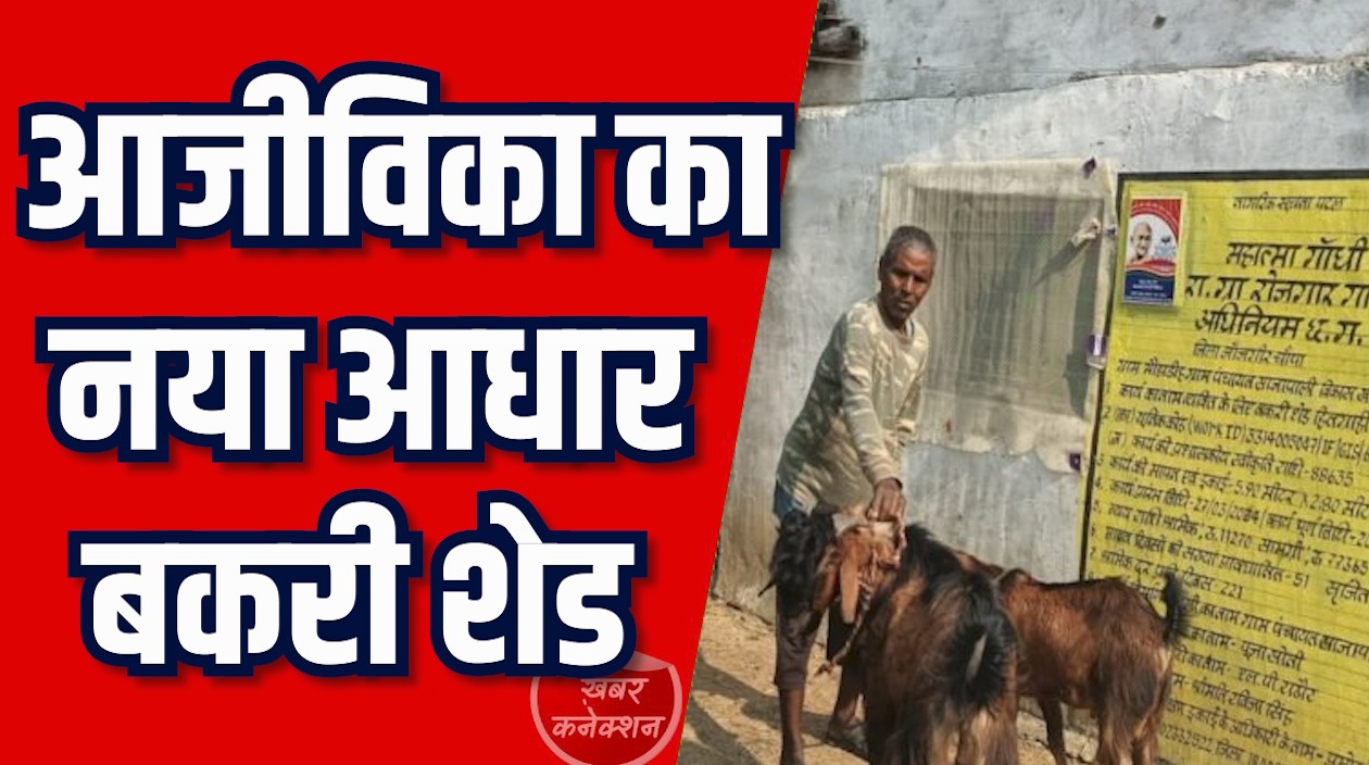 CG News: मनरेगा से आत्मनिर्भरता की नई उड़ान, महेत्तर लाल का बकरी शेड बना आजीविका का आधार