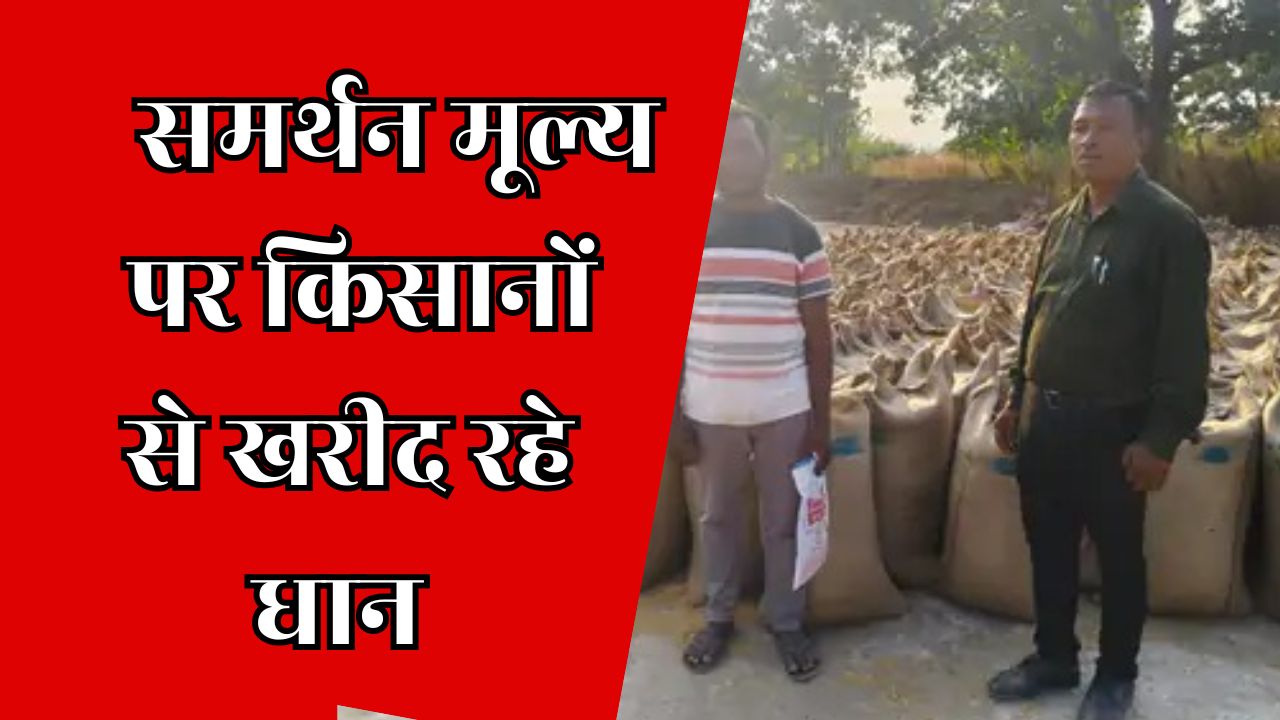 CG News : जशपुर जिले में समर्थन मूल्य पर धान खरीदी पूरी मुस्तैदी के साथ