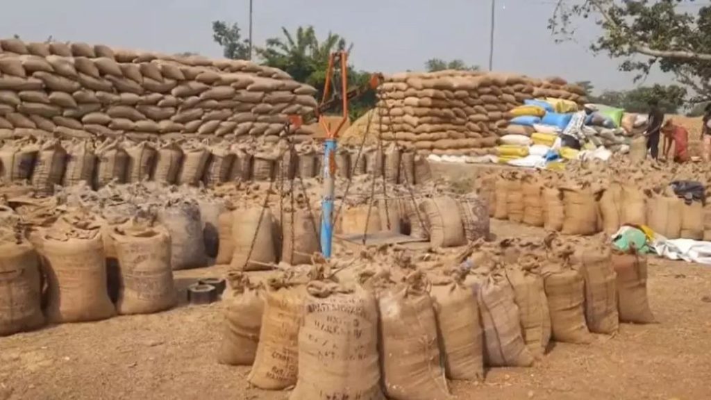 CG News: खरीफ विपणन में धमतरी ने बनाया रिकॉर्ड, 1.72 लाख मीट्रिक टन खरीदी, 409 करोड़ का भुगतान पूरा