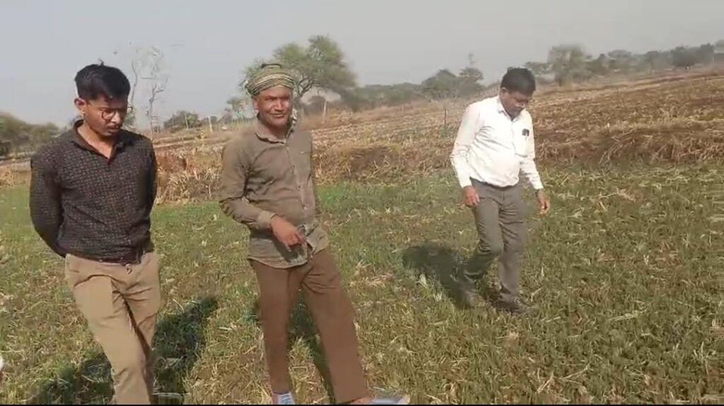 CG News: फसल विविधीकरण की प्रेरक कहानी, दिलीप सिन्हा ने दलहन-तिलहन से बदल दी खेती की तस्वीर