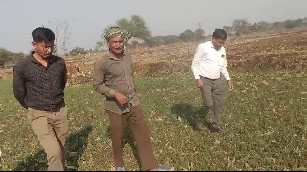 CG News: फसल विविधीकरण की प्रेरक कहानी, दिलीप सिन्हा ने दलहन-तिलहन से बदल दी खेती की तस्वीर