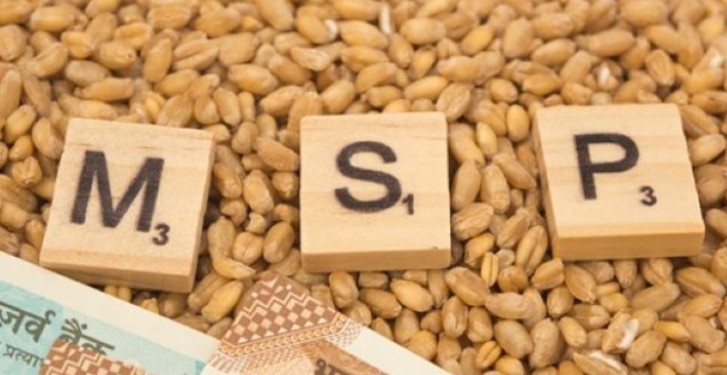 CG News: छत्तीसगढ़ में दलहन-तिलहन उपार्जन की केन्द्र से मिली मंजूरी, 425 करोड़ रुपये स्वीकृत