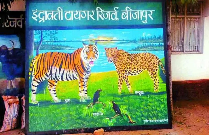 CG News: इंद्रावती टाइगर रिजर्व बना देश का मॉडल, गिद्ध संरक्षण को मिली नई उड़ान