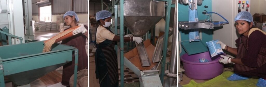 CG News: सशक्त मानसिकता से आत्मनिर्भरता की ओर, सूरजपुर की महिलाएं पोषण निर्माण में निभा रही अहम भूमिका
