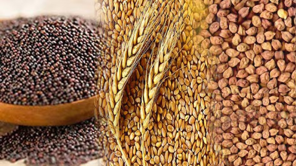 CG News: छत्तीसगढ़ में रबी वर्ष 2025-26 के बीज उत्पादन कार्यक्रम में किसानों के पंजीयन की अवधि बढ़ाई गई