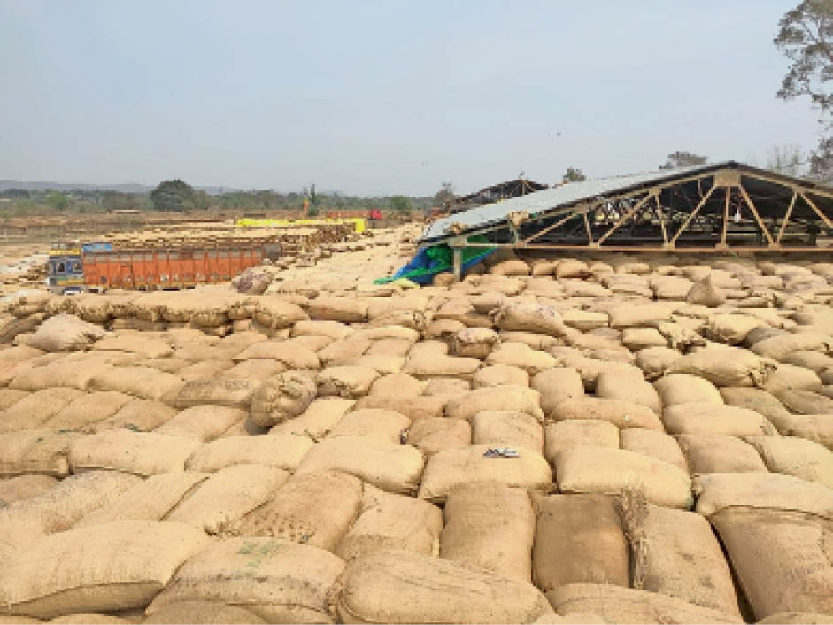 CG News: धान सूखने से वजन कम होता है, यह सामान्य प्रक्रिया है