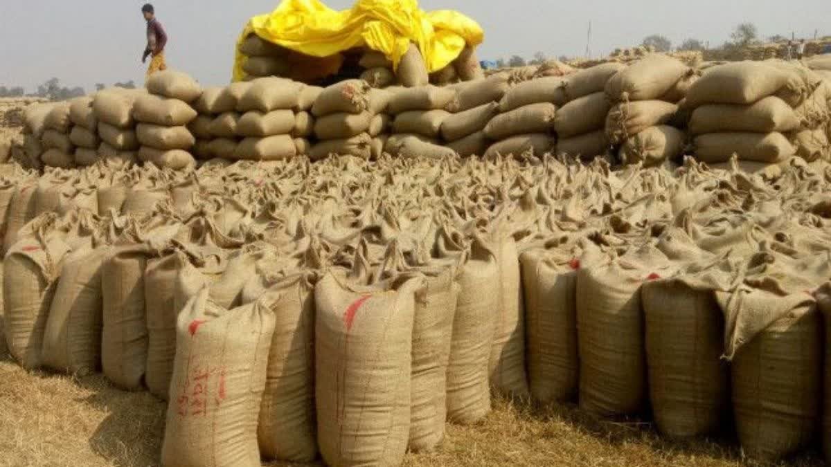 CG News: छत्तीसगढ़ में तकनीक आधारित धान खरीदी, भरोसे और लाभ का नया युग