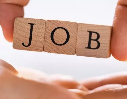 CG News: प्रदेश 12 से 17 फरवरी तक संभाग स्तरीय रोजगार मेले, निजी क्षेत्र की बड़ी कंपनियों में नौकरी पाने का सीधा अवसर