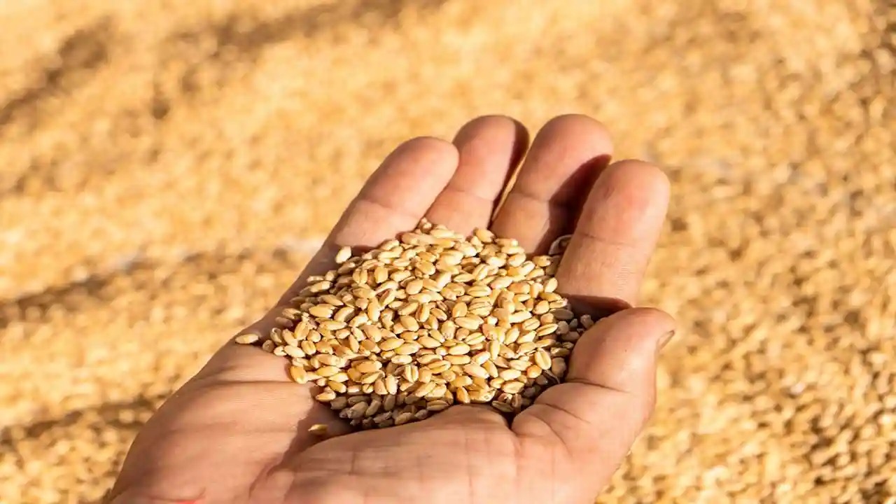 CG News: क्वाल आई टेक्नोलॉजी ने एआई मशीन से तेज़, पारदर्शी और वैज्ञानिक गुणवत्ता जांच की शुरुआत की