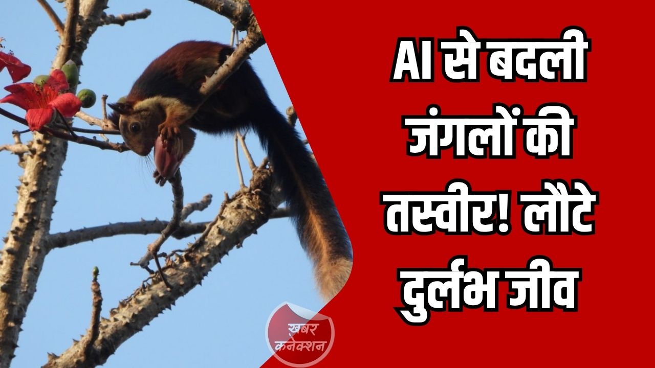 CG News: छत्तीसगढ़ के जंगलों में बदलाव, AI और पारंपरिक ज्ञान से लौट रहीं दुर्लभ प्रजातियाँ