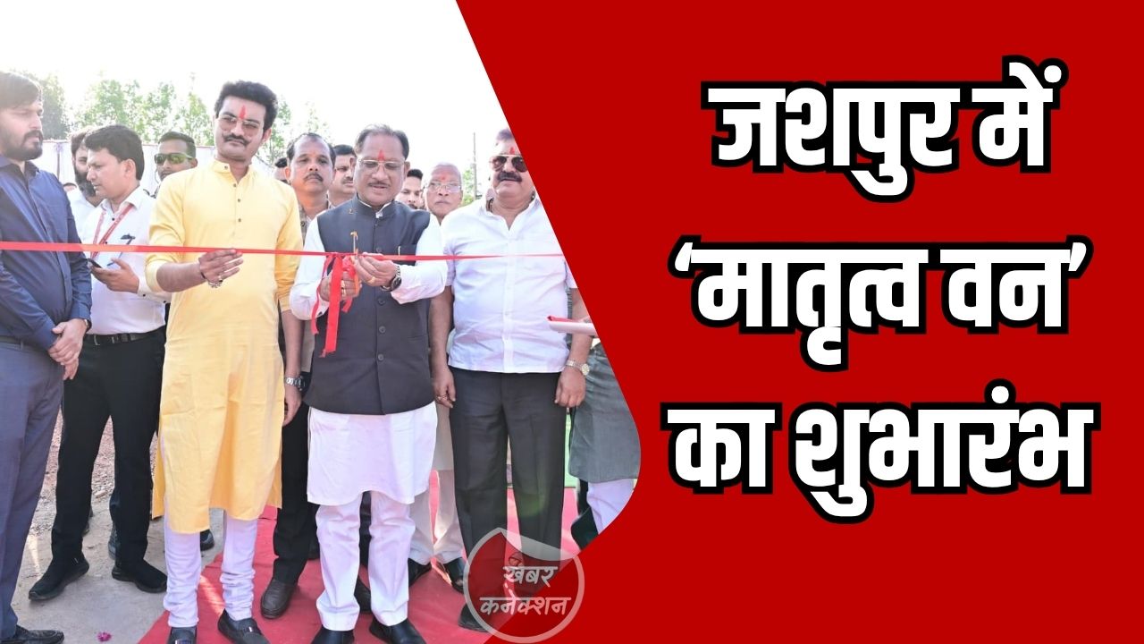 Jashpur News: CM साय ने जशपुर में मातृत्व वन का किया लोकार्पण, पर्यावरण संरक्षण का दिया संदेश