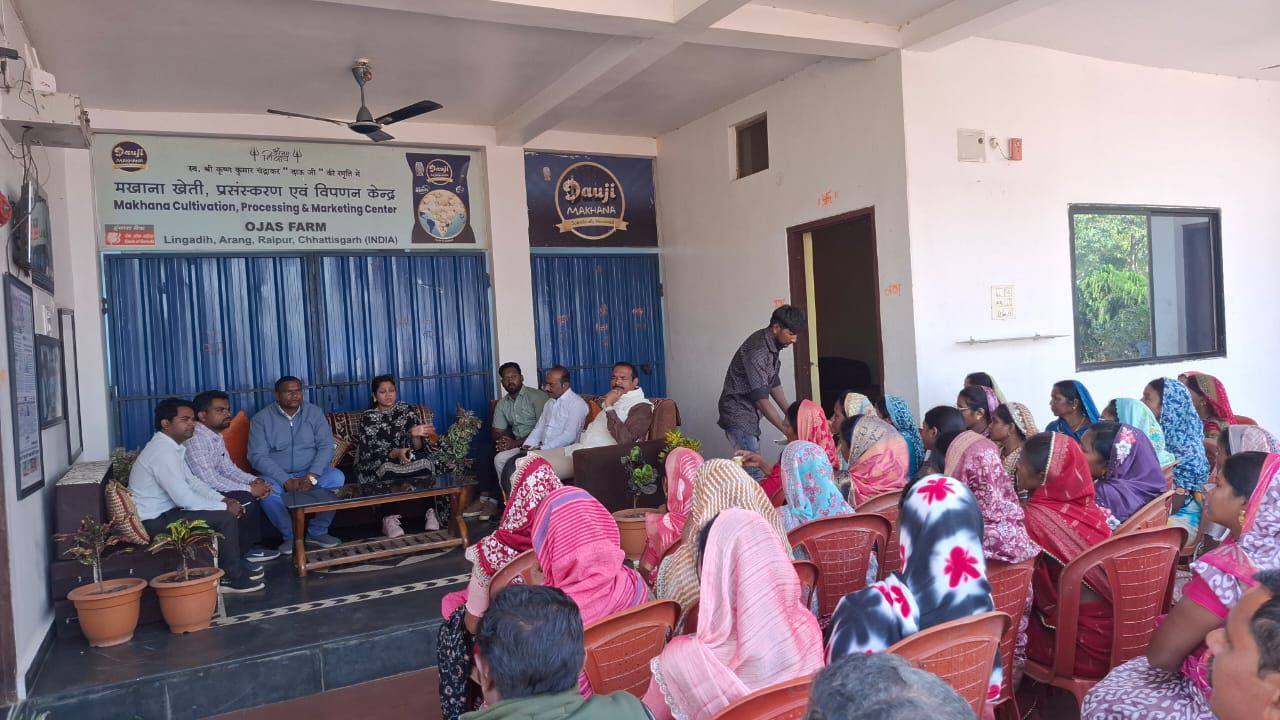 CG News: धमतरी को मखाना हब बनाने की दिशा में नई पहल, महिला समूहों को मिलेगा आर्थिक सशक्तिकरण