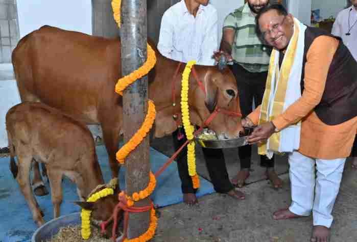 CG News: मुख्यमंत्री विष्णु देव साय ने गौधाम योजना का किया शुभारंभ, पशुओं के संरक्षण और संवर्धन को मिलेगा बढ़ावा