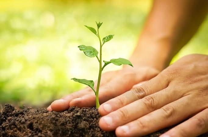 Jashpur News: विश्व वानिकी दिवस पर जशपुर वन मंडल में जागरूकता कार्यक्रम, छात्रों और नागरिकों को दिया वन संरक्षण का संदेश