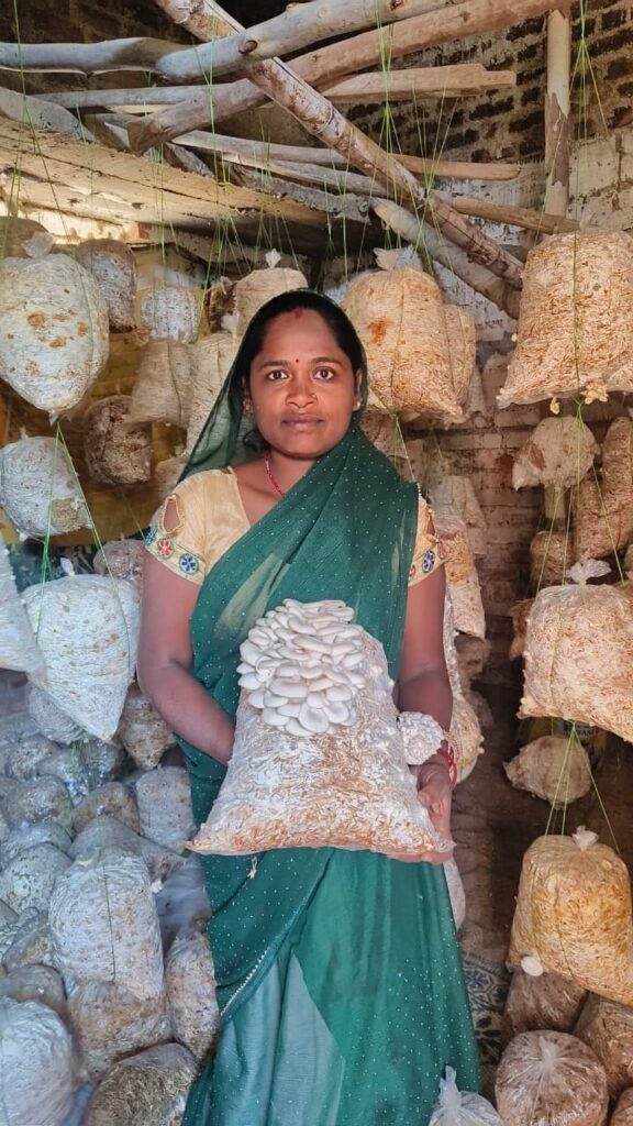 CG News: साय के सुशासन और महिला सशक्तिकरण की पहल से मजदूरी से मशरूम व्यवसाय तक बृहस्पति धुर्वे बनीं ‘लखपति दीदी’