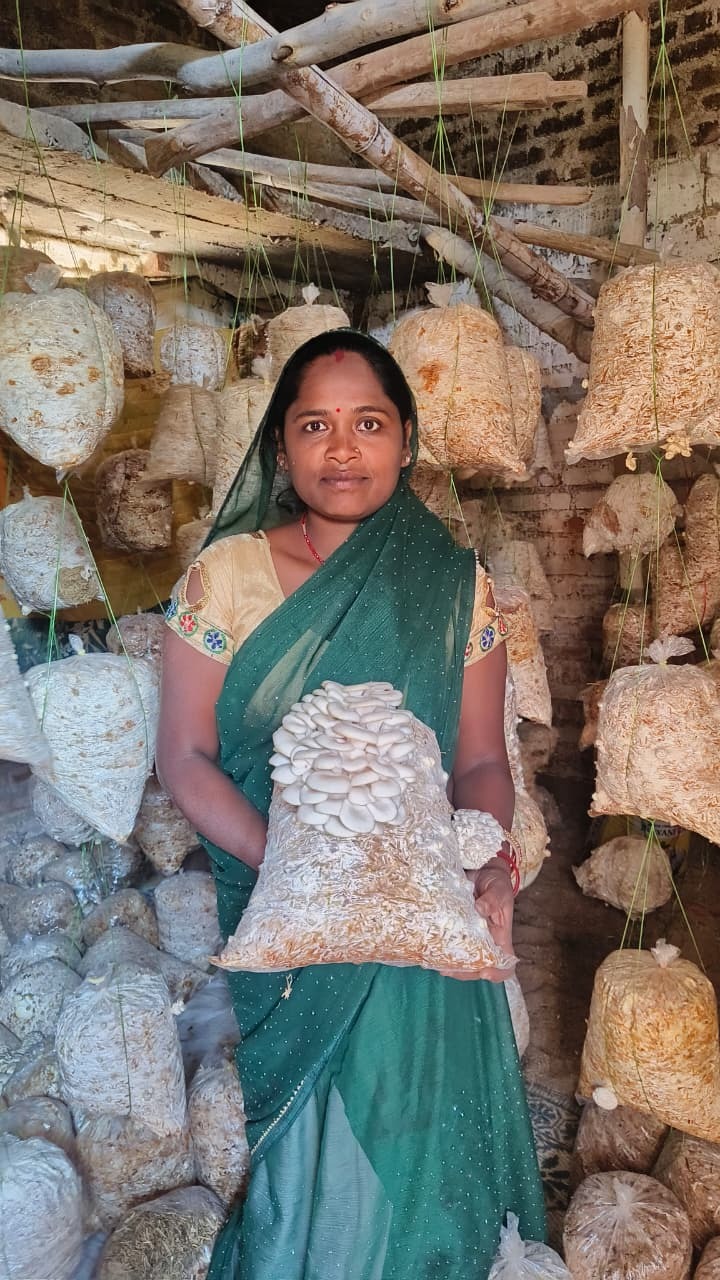 CG News: साय के सुशासन और महिला सशक्तिकरण की पहल से मजदूरी से मशरूम व्यवसाय तक बृहस्पति धुर्वे बनीं ‘लखपति दीदी’