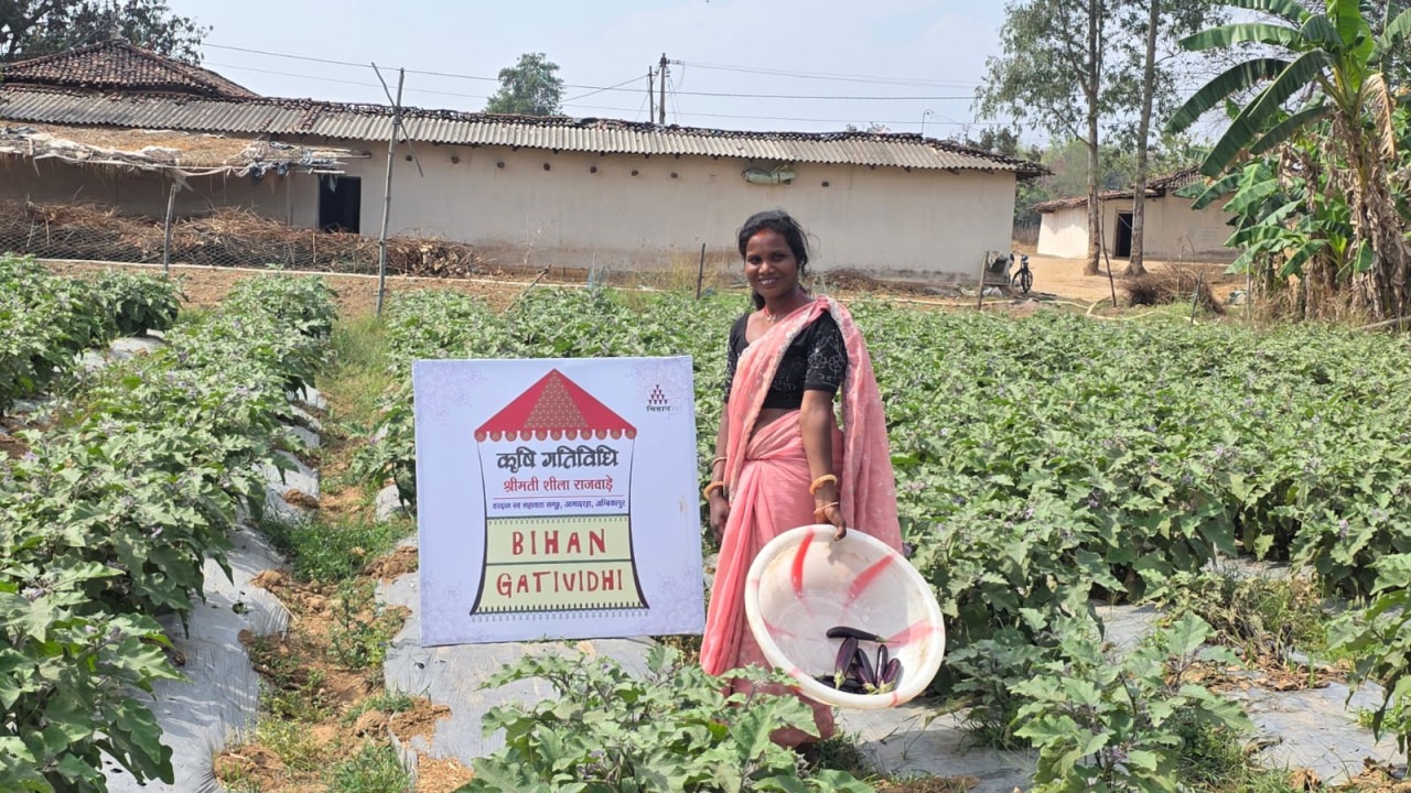 CG News: उन्नत खेती से शीला राजवाड़े बनीं लखपति दीदी, बिहान योजना से बदली तकदीर