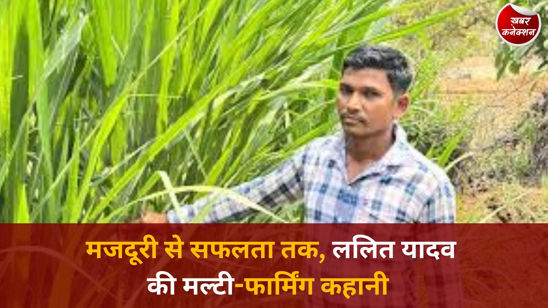 CG News: 6 गायों से 25 तक का सफर, दंतेवाड़ा के ललित यादव बने डेयरी और मल्टी-फार्मिंग के रोल मॉडल