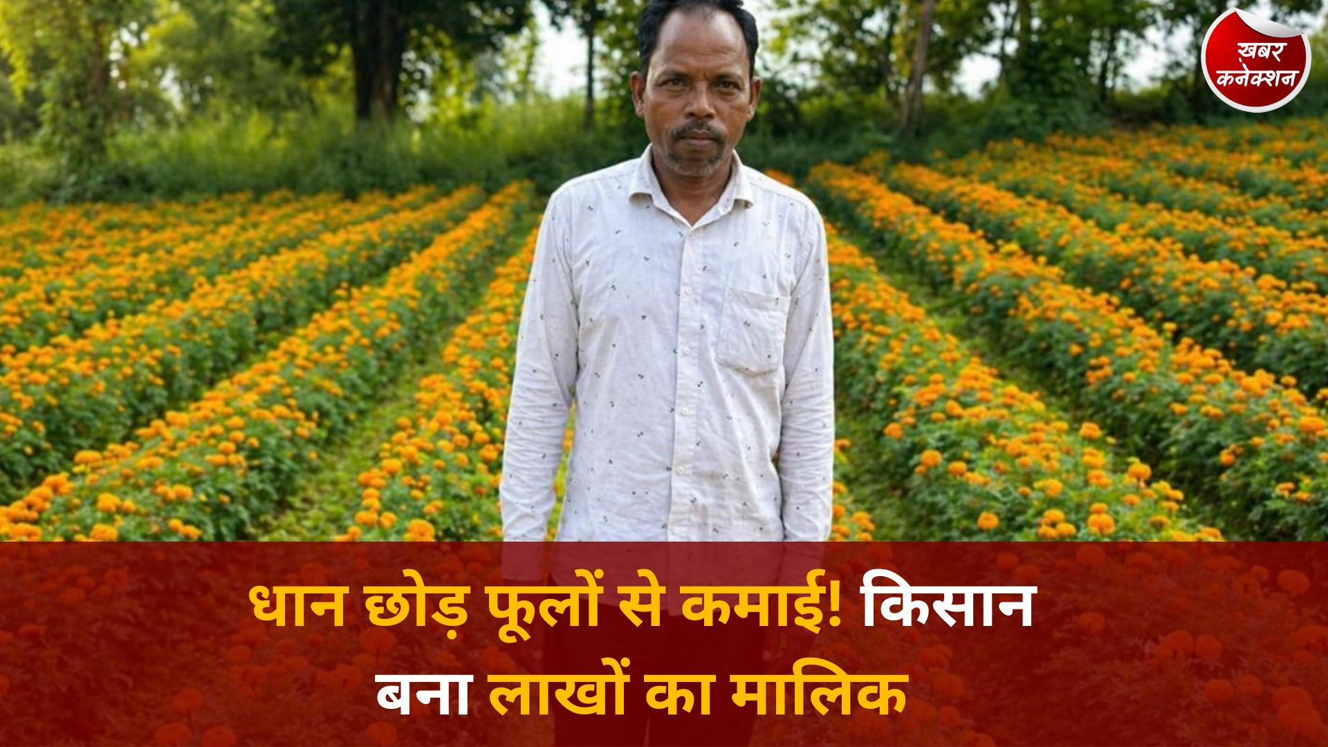 CG News: फूलों की खेती ने बदली किस्मत, रायगढ़ के किसान ईश्वरचरण पैकरा की सफलता बनी मिसाल