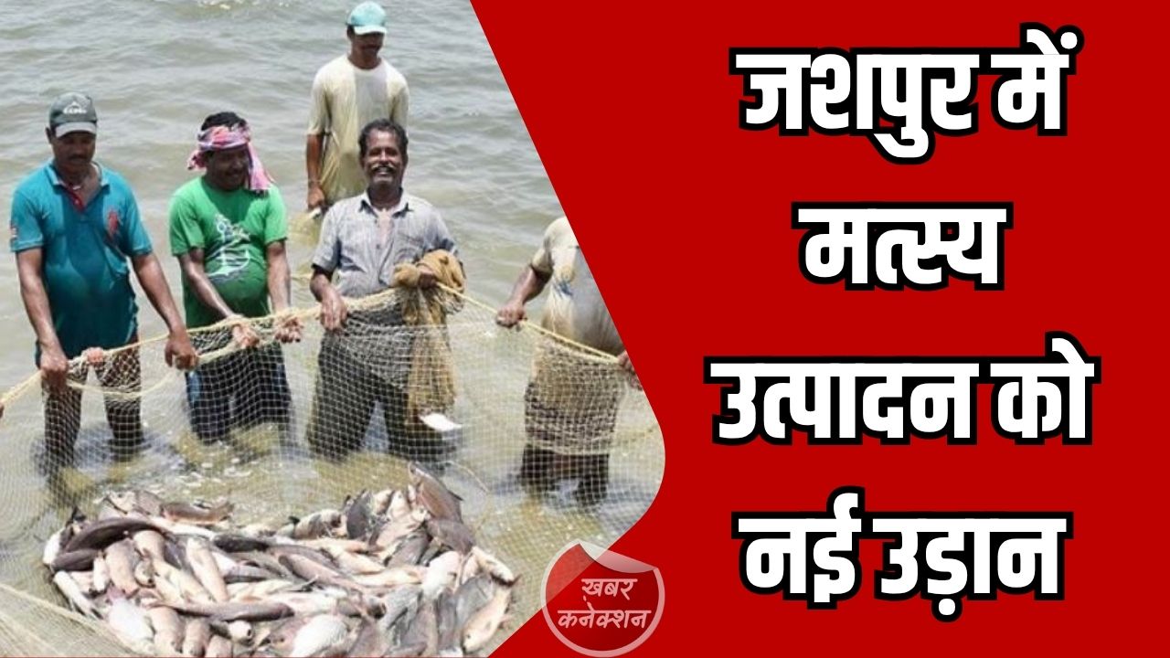 CG News: जशपुर में मत्स्य उत्पादन को नई उड़ान, ग्रामीण अर्थव्यवस्था और रोजगार में बड़ा उछाल