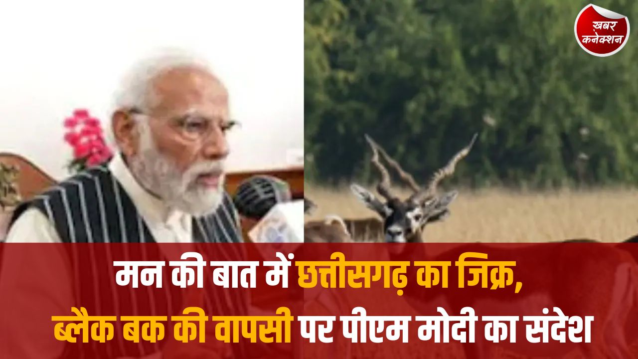 CG News: प्रधानमंत्री ‘मन की बात’ 133वां एपिसोड, छत्तीसगढ़ में ब्लैक बक संरक्षण की सफलता पर विशेष चर्चा