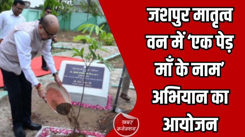 Jashpur News: राज्यपाल रमेन डेका ने मातृत्व वन में सीता अशोक का पौधा लगाकर पर्यावरण संरक्षण को बढ़ावा दिया