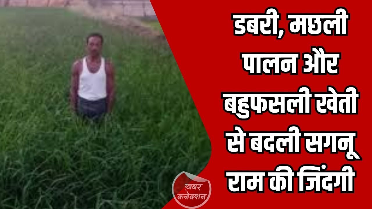 CG News: डबरी, मछली पालन और बहुफसली खेती से बदली सगनू राम की जिंदगी, गांव के बने प्रेरणास्रोत