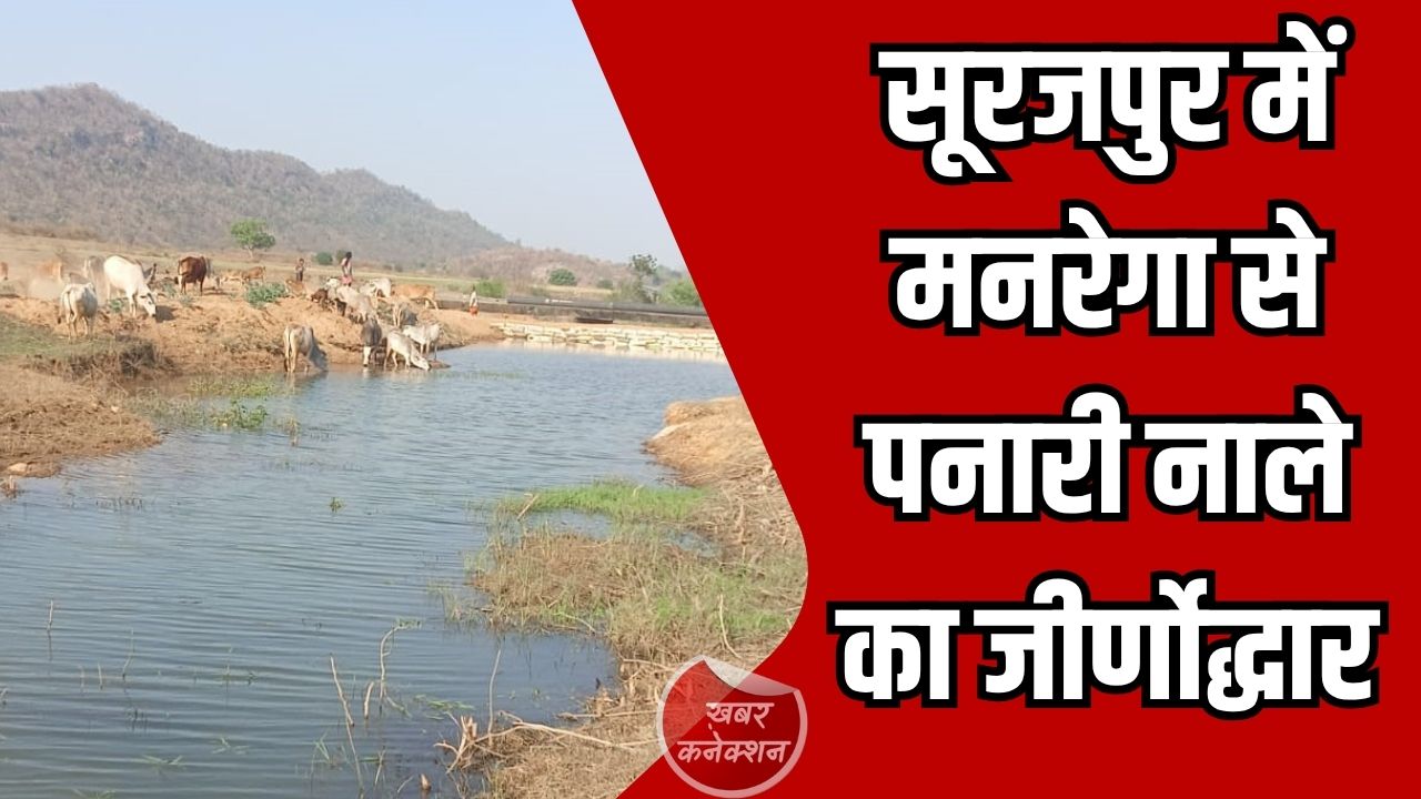 CG News: सूरजपुर में मनरेगा से पनारी नाले का जीर्णोद्धार, 1200 ग्रामीणों को पेयजल और सिंचाई का लाभ