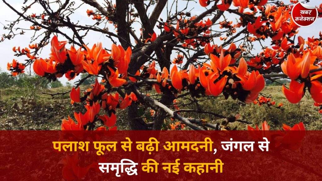 CG News: पलाश फूल बना ग्रामीण आजीविका का मजबूत आधार, बढ़ रही आय और समृद्धि
