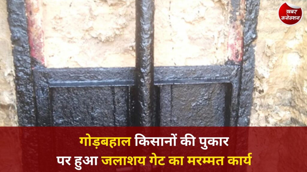 CG News: सुशासन तिहार में ग्रामीणों की शिकायत का त्वरित समाधान, गोड़बहाल जलाशय से फिर पहुंचा खेतों तक पानी