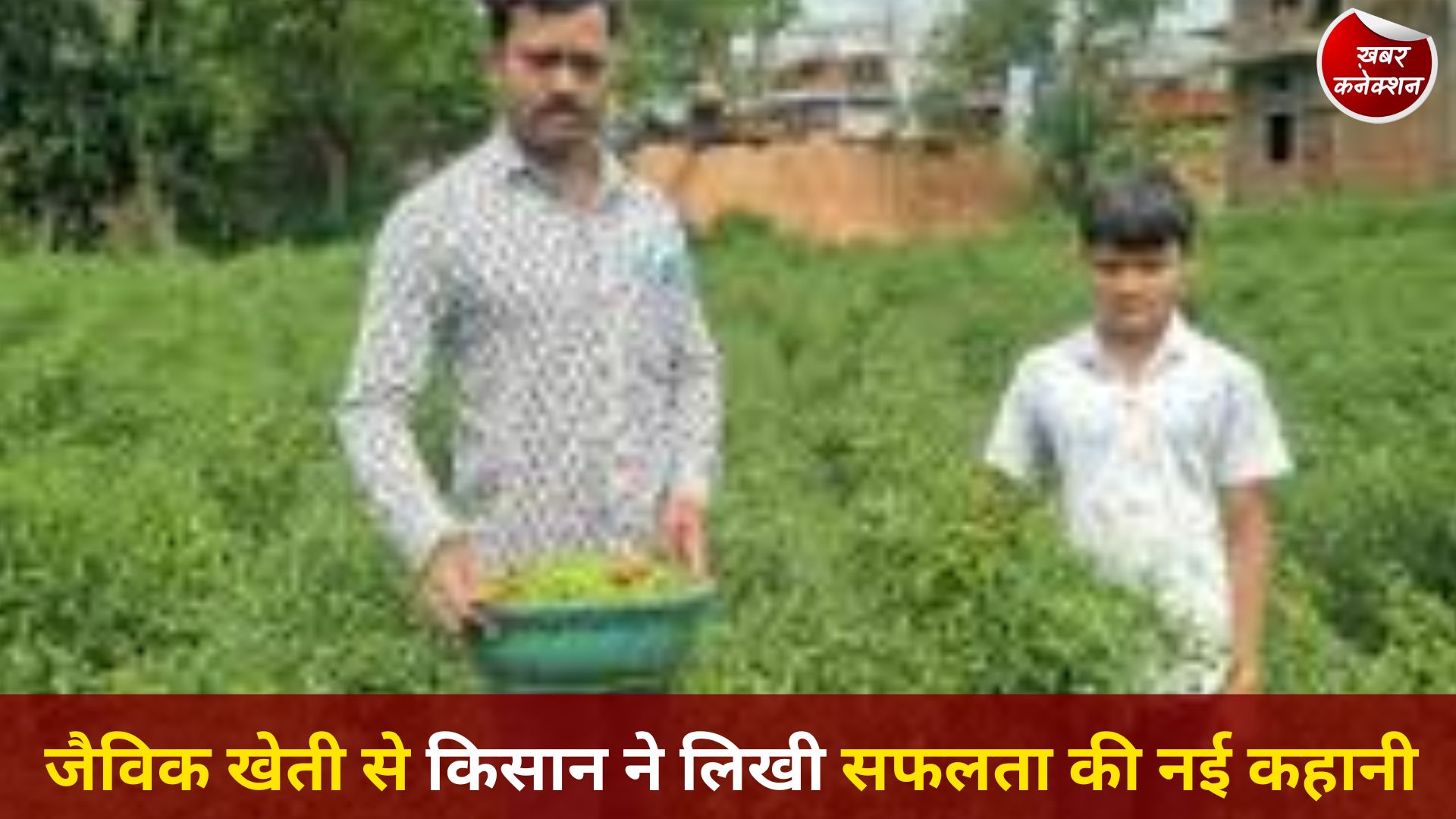 CG News: बिना केमिकल की खेती से लाखों की कमाई, किसान डोलनारायण बने मिसाल