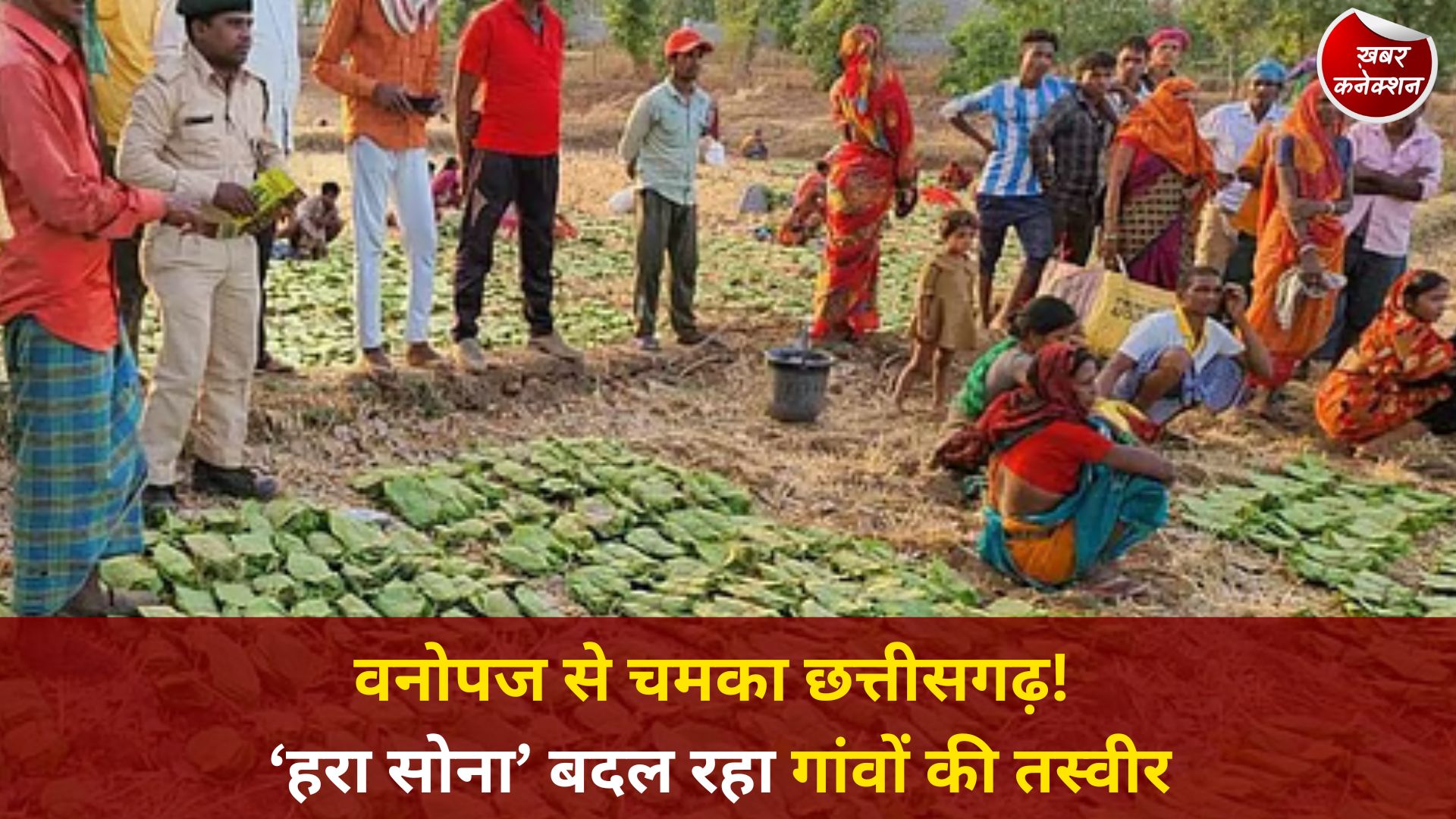CG News: वनोपज से आत्मनिर्भर बन रहा छत्तीसगढ़, ‘ग्रीन गोल्ड’ से ग्रामीण अर्थव्यवस्था को मिली नई उड़ान