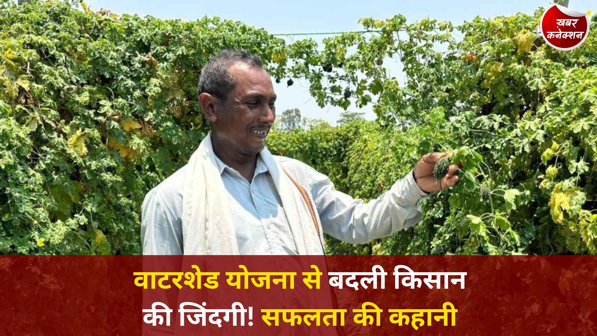 CG News: वाटरशेड योजना बनी किसान छबी लाल की समृद्धि का आधार, सब्जी उत्पादन से बढ़ी आय और जीवन स्तर में सुधार