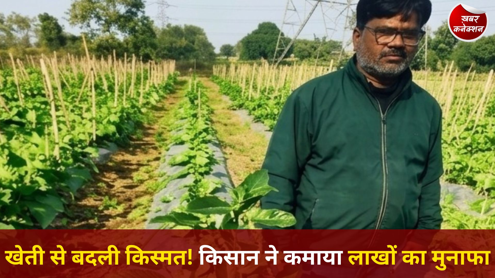 CG News: आधुनिक खेती से सफलता की कहानी, बिलासपुर के किसान महेश कश्यप बने आत्मनिर्भर
