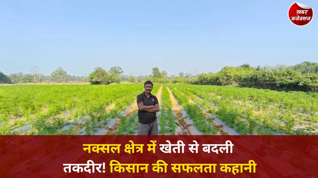 CG News: नक्सल प्रभावित क्षेत्र में आधुनिक खेती से किसान गोपाल एर्रागोला की सफलता की नई मिसाल
