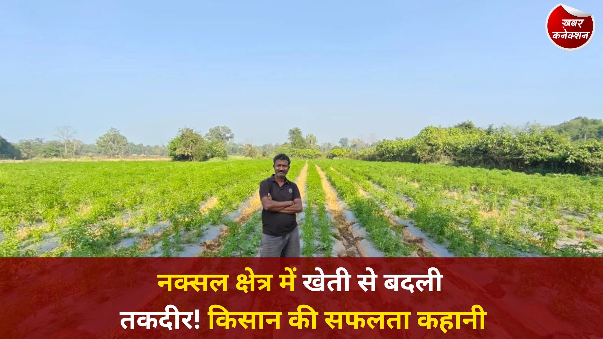CG News: नक्सल प्रभावित क्षेत्र में आधुनिक खेती से किसान गोपाल एर्रागोला की सफलता की नई मिसाल