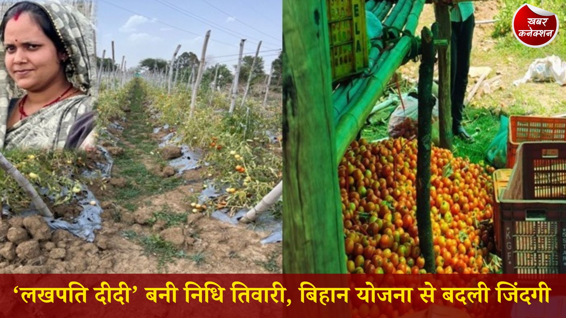 CG News: बिहान योजना की सफलता: अमरपुर की निधि तिवारी बनी आत्मनिर्भरता की मिसाल, कलेक्टर ने की सराहना