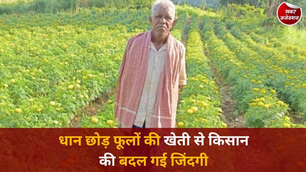 CG News: छत्तीसगढ़ के किसान की सफलता कहानी, गेंदा की खेती से लाखों की कमाई