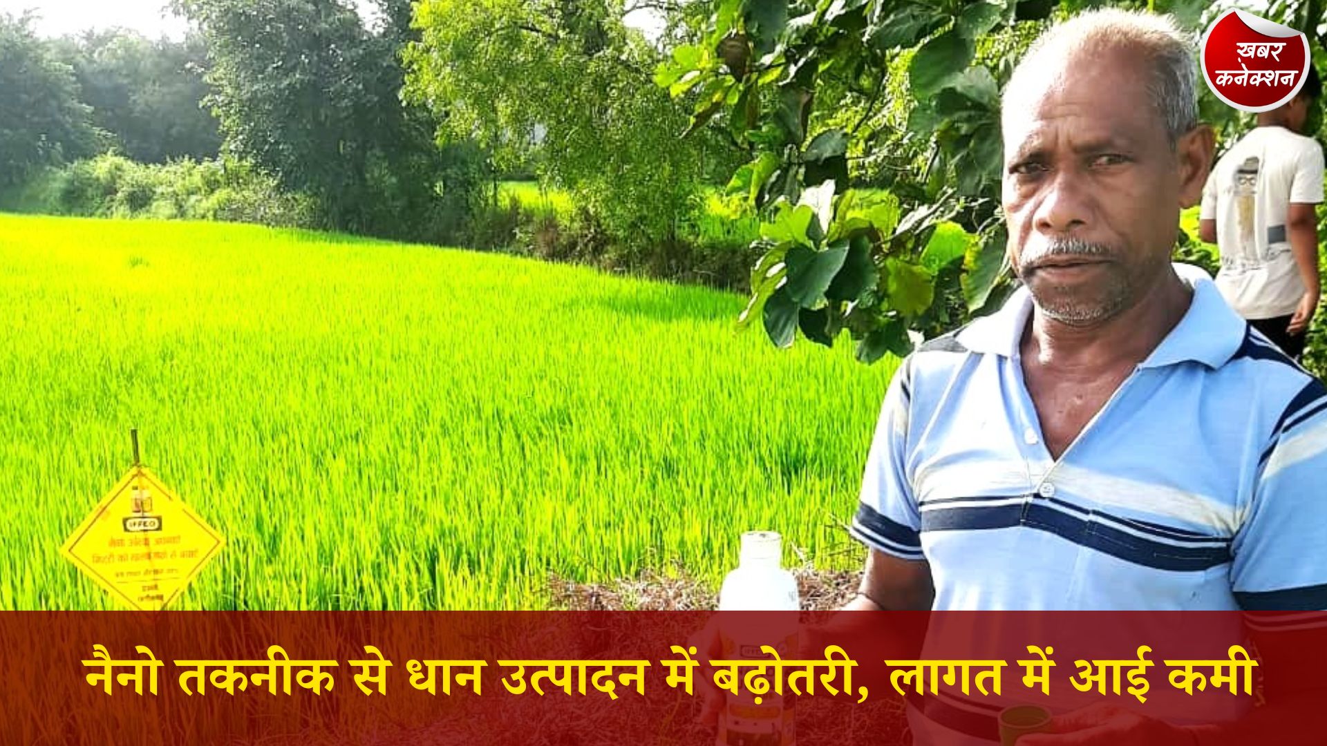 CG News: नैनो उर्वरकों के उपयोग से धान उत्पादन बढ़ा, किसान ने बताया कैसे घटी खेती की लागत